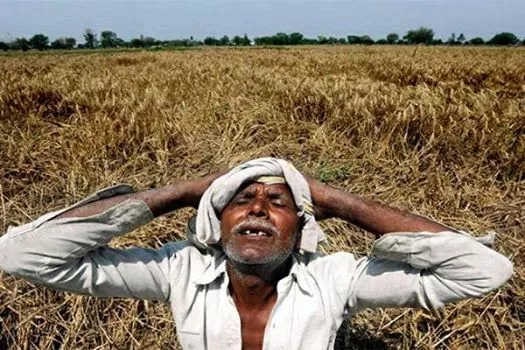 Compensation for cyclone Yaas will send to the accounts of more than two and a half lakh farmers Compensation for Cyclone Yaas: আড়াই লক্ষেরও বেশি চাষির অ্যাকাউন্টে পৌঁছবে ঘূর্ণিঝড় ইয়াসের ক্ষতিপূরণ