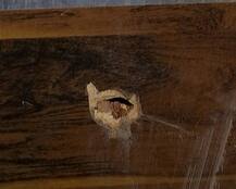 અમદાવાદ: આરોપીઓને પકડવા ગયેલી ક્રાઇમ બ્રાન્ચની ટીમ પર આઠ રાઉન્ડ ફાયરિંગ, 2 આરોપીની અટકાયત