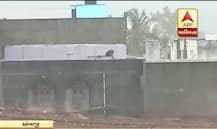 ગુજરાતમાં અનેક જગ્યાએ વરસાદની ધમાકેદાર એન્ટ્રી: કઈ-કઈ જગ્યાએ વરસાદની થઈ શરૂઆત, જાણો વિગત