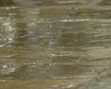 સુરતમાં મેઘરાજાનું આગમન, લોકોને બફારામાંથી મળી રાહત