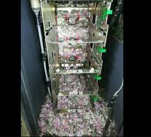 ATM મશીન ખોલતાં જ ચોંકી ગયા લોકો, 12 લાખથી વધારે રૂપિયા કોતરી ગયા ઉંદર!