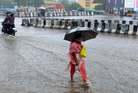 વધુમાં જણાવ્યું હતું કે, વરસાદ પાછોતરો ખેંચાતા આગામી થોડા દિવસ તાપમાનમાં વધારો નોંધાઈ શકે છે. 18 જૂનના રોજ ગુજરાતના કેટલાક ભાગમાં આવેલ વરસાદમાં સુરત અને વલસાડમાં ક્રમાનુસાર 8.4 એમએમ અને 7 એમએમ વરસાદ નોંધાયો હતો. જ્યારે મહુવા, ઓખા અને વેરાવળમાં ક્રમાનુસાર 3.2, 0.5 અને 0.2 એમએમ જેટલો વરસાદ નોંધાયો છે.