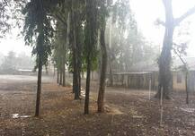 ડાંગમાં વાવાઝોડા સાથે વરસાદની ધમાકેદાર એન્ટ્રી, જાણો ડાંગમાં ક્યાં કેટલો પડ્યો વરસાદ