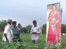 સની લિયોની બાદ આ એક્ટ્રેસનું પોસ્ટર લાગ્યું ખેતરમાં, જાણો ખેડૂતે શું કહ્યું