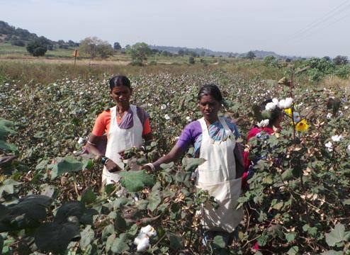  ઉલ્લેખનીય છે કે, આ અગાઉ 2008-09માં અનાજ કઠોળના ટેકાના ભાવમાં ક્વિન્ટલ દીઠ રૂ.155નો વધારો કરવામાં આવ્યો હતો. ગત વર્ષે સામાન્ય ગ્રેડનાં ધાન્ય પાકોની એમએસપી 1,550 રૂપિયા પ્રતિ ક્વિંટલ હતી. મોદી સરકાર દ્વારા કરવામાં આવેલો ટેકાનાં ભાવોમાં છેલ્લા 10 વર્ષમાં આ સૌથી વધારે વધારો છે.