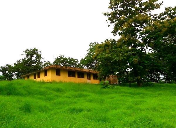 10) એ. એમ. પરમાર, નાયબ વન સંરક્ષક: સામાજિક વનીકરણ વિભાગ - નડિયાદની બદલી સામાજિક વનીકરણ વિભાગ - સુરેન્દ્રનગર 11) ડો. ધીરજ મિત્તલ, નાયબ વન સંરક્ષક: ડાંગ (દક્ષિણ)ની બદલી નાયબ વન સંરક્ષક: ગીર જંગલ (પશ્ચિમ) - જૂનાગઢ