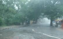 ડાંગ: સોનગઢમાં વરસાદની ધમાકેદાર બેટિંગ, બે કલાક 9 ઈંચથી પાણી જ પાણી, નદીઓ ગાંડીતૂર
