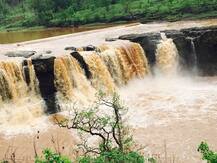 સોનગઢ અને વ્યારામાં આભ ફાટ્યું, ડાંગમાં ક્યાં કેટલો વરસાદ ખાબક્યો, જાણો વિગત