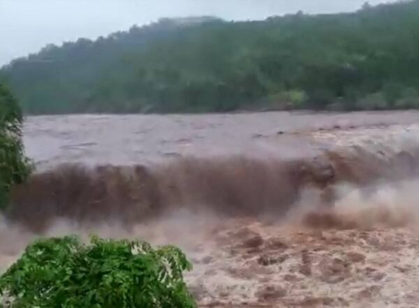 સોનગઢમાં 134 ઘરમાં 545 લોકો અસરગ્રસ્ત બન્યાં છે. ડાંગ જિલ્લામાં ભારે વરસાદને પગલે ઘણી જગ્યાએ ભેખડો ધસી પડી છે જેને પગલે વાહનચાલકોને ભારે હાલાકીનો સામનો કરવો પડી રહ્યો છે. હિલસ્ટેશન સાપુતારામાં પણ ધુમ્મસિયું વાતાવરણ જોવા મળ્યું છે. 