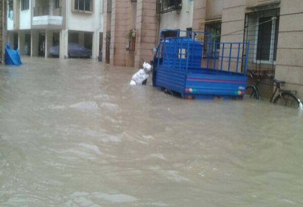 હવામાન વિભાગના ડાયરેક્ટર જયંત સરકારે કહ્યું કે 10 જુલાઇ સુધી દક્ષિણ ગુજરાતમાં ભારેથી અતિભારે વરસાદ જ્યારે ઉત્તર ગુજરાત અને સૌરાષ્ટ્ર કચ્છનાં વિવિધ વિસ્તારોમાં હળવોથી મધ્યમ વરસાદ પડી શકે છે. પરંતુ, આગામી 11મી જુલાઇથી રાજ્યનાં મોટાભાગનાં વિસ્તારોમાં વરસાદ જોર વધી શકે છે. 