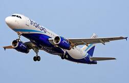 Indigo Flights: ઇન્ડિગોના સેંકડો કર્મચારીઓએ બીમારીના બહાને કેમ લીધી રજા, જાણો ચોંકાવનારું અને રમુજી કારણ