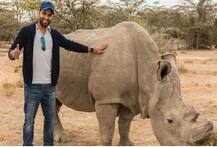 રોહિત પત્ની ઋતિકા નહીં પણ આ ખાસ પ્રાણીને સમર્પિત કરી પોતાની સેન્ચુરી, જાણો કેમ