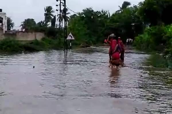 જૂનાગઢ જિલ્લામાં શનિવાર સવારે 6થી રાત્રે 8 કલાક સુધીમાં ભેંસાણમાં 6 ઇંચ, જૂનાગઢમાં 8 ઇંચ, કેશોદમાં 6 ઇંચ, માળિયા હાટીનામાં 8 ઇંચ, માણાવદરમાં 4 ઇંચ, માંગરોળમાં 2 ઇંચ, મેંદરડામાં 7 ઇંચ, વંથલીમાં 6 ઇંચ અને વિસાવદરમાં 10 ઇંચ વરસાદ નોંધાયો હતો. જૂનાગઢમાં ભારે વરસાદને પગલે મેંદરડા બાયપાસને જોડતા ઇવનગર રોડ પર ઘૂંટણ સુધી પાણી ફરી વળ્યાં હતાં.