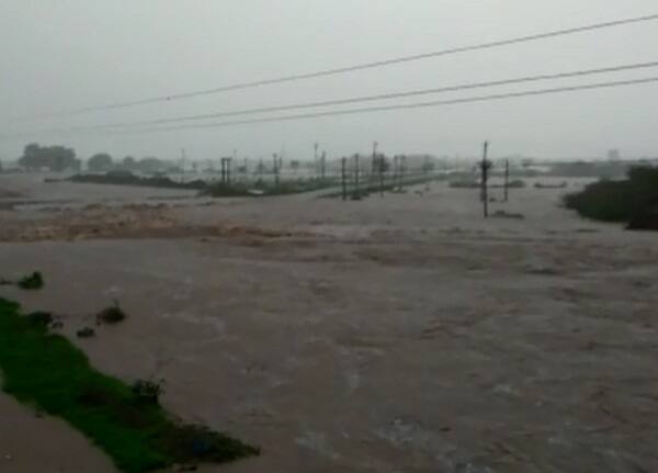 ગીરગઢડા: મેઘરાજાએ ઉના અને ગીરગઢડાને સોમવારે રિતસરને ધમરોળી નાખ્યું હતું. 12 કલાકમાં 20 ઈંચ વરસાદ ખાબકતાં સમગ્ર ગીરગઢડામાં પાણી જ પાણી જોવા મળ્યું હતું. જ્યારે સ્ટેટ હાઈ-વે સહિત અને રસ્તા બંધ થઈ ગયા હતા. ગામડાં સંપર્ક વિહોણા થયા હતા તો કેટલાક ગામ બેટમાં ફેરવાઈ ગયા હતા. એનડીઆરએફની ટીમે રેસ્ક્યૂ ઓપરેશન શરૂ કરી અનેક લોકોને બચાવ્યા હતા. 