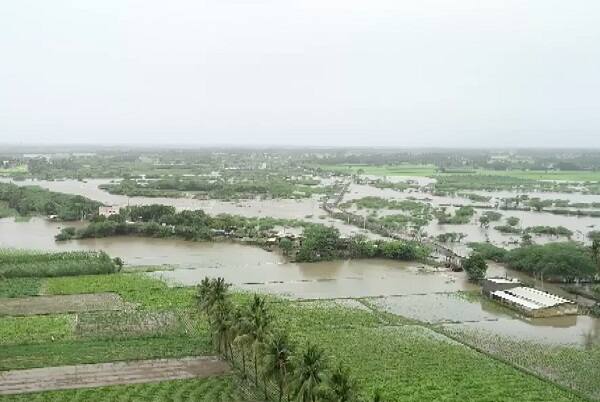 હવામાન વિભાગના જણાવ્યા પ્રમાણે, આગામી 24 કલાકમાં અમદાવાદમાં ભારે વરસાદ પડે તેવી શક્યતા છે. અમદાવાદ અને તેની આસપાસના વિસ્તારમાં ધોધમાર વરસાદ પડશે તેવી શક્યતા છે. અમદાવાદ સિવાય ઉત્તર ગુજરાતમાં પણ ભારે વરસાદની શક્યતા છે.