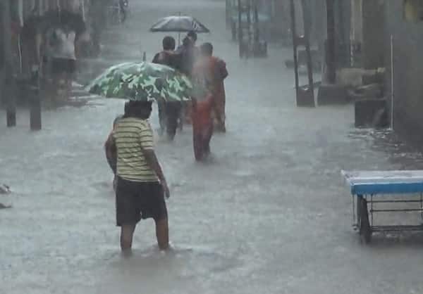 19 જુલાઈના રોજ ડાંગ, છોટા ઉદેપુર, બનાસકાંઠા, સાબરકાંઠા, અરવલ્લી, મહિસાગર, પંચમહાલ, વલસાડ, નવસારી, સુરત, દમણ અને દાદરા નગર હવેલીના વિવિધ વિસ્તારોમાં ભારે વરસાદ પડે તેવી શક્યતા છે. જ્યારે સૌરાષ્ટ્રના ભાવનગર, અમરેલી, ગીર સોમનાથ, જુનાગઢ, પોરબંદર, રાજકોટ, બોટાદ અને દીવના અલગ-અલગ વિસ્તારોમાં વરસાદ પડવાની હવામાન વિભાગે આગાહી કરી છે.