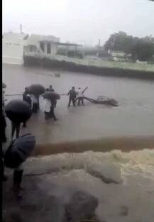 રાજ્યમાં છેલ્લા 24 કલાકમાં ક્યાં પડ્યો કેટલો વરસાદ? જાણો વિગત