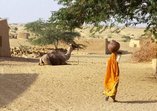વેબસાઇટ પર સૌથી લોકપ્રિય નેતા માટે મત આપતા પહેલા એજન્ડા પોઈન્ટ નક્કી કરવો જરૂરી છે. તેમાં દેશના 18 મહત્વના મુદ્દા આપવામાં આવ્યા છે, જેમાંથી એક યૂઝર સૌથી વધુ 10 મુદ્દાને પસંદ કરી શકે છે. આ મુદ્દામાં રાષ્ટ્રીય ભાષા, મજૂરોના મુદ્દા, સ્વાસ્થ્ય, કિસાનોની સમસ્યા, આદિવાસિઓની સમસ્યા, શિક્ષા, સાંપ્રદાયિક એકતા, આર્થિક સમાનતા અને મહિલા સુરક્ષા સહિતના મુદ્દાઓ સામેલ છે.