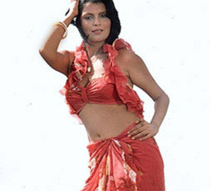 ઈમરાન અને ઝિન્નત એ પછી ખાનગીમાં મળતાં રહેતાં. પાકિસ્તાનની ક્રિકેટ ટીમ 1987માં ભારત આવી એ વખતે બંનેનો રોમાન્ય પૂરબહારમાં ચગ્યો હતો. ઈમરાન ખાન એ વખતે પાકિસ્તાનનો કેપ્ટન હતો અને તે મેચ પત્યા પછી ટીમ સાથે હોટલમાં રોકાવાના બદલે ઝિન્નત સાથે રોકાવા નિકળી જતો એવું કહેવાય છે.