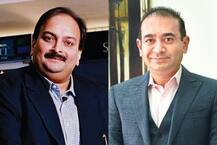 નીરવ મોદી અને મેહૂલ ચોક્સીને કોર્ટે સમન્સ મોકલ્યું, સપ્ટેમ્બરમાં રજૂ થવા આદેશ