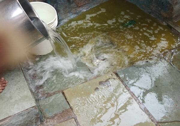 પરિણામે આજથી વડોદરામાં પાણીપુરી પર પ્રતિબંધ લાદી દેવામાં આવ્યો છે. વકરતા રોગચાળા અને ચોમાસાને ધ્યાનમાં રાખીને નિર્ણય કરવામાં આવ્યો છે. રોગચાળો ન અટકે ત્યાં સુધી પાણીપુરી પર પ્રતિબંધ યથાવત રહેશે. 