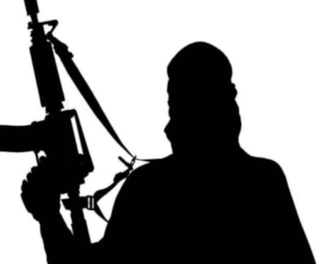 2016માં તેને જમ્મુના ડિવીજનલ કમાન્ડર બનાવવામાં આવ્યો હતો. અત્યારે તે લશ્કર-એ-તોઇબાનો સિનિયર કમાન્ડર છે. અમેરિકાના વિદેશ મંત્રાલયે દખિલની યોજના અને આતંકી હુમલાની તૈયારી વિશે કોઈ પણ બાબત જણાવવાનો ઇનકાર કર્યો.