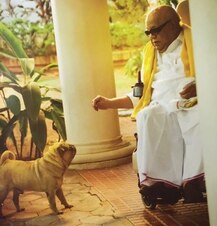 DMK ચીફ કરૂણાનિધિનું નિધન, દક્ષિણની રાજનીતિના હતા પિતામહ; તમિલનાડુમાં 7 દિવસનો રાજકીય શોક