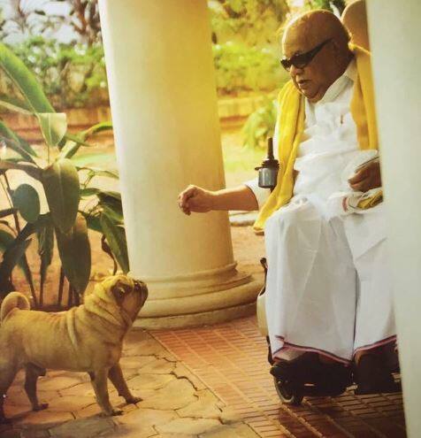 1969માં ડીએમકે ફાઉન્ડર સીએન અન્નાદુરઈના નિધન બાદ કરુણાનિધિ તમિલનાડુના સીએમ બન્યા હતા. જે બાદ પાર્ટી પર તેમની પકડ મજબૂત થતી ગઈ. 1969માં પ્રથમ વખત મુખ્યમંત્રી પદ સંભાળ્યું હતું. છેલ્લે તેઓ 2003માં અંતિમ વખત મુખ્યમંત્રી બન્યા હતા.