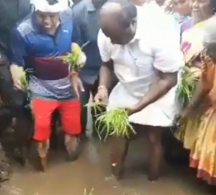  આ વર્ષે સારો વરસાદ પડ્યો હતો. કુમારસ્વામીએ કહ્યું કે હું ડાંગરની રોપણીમાં ખેડૂતોને સાથ આપીને તેમને પ્રોત્સાહન આપવામાં માગું છું.