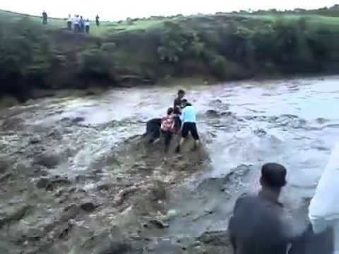 માહિતી પ્રમાણે સૈયદ અહેમદ (37) મિત્રોની સાથે નદી કિનારે ઉભો હતો, વાતચીત દરમિયાન તેને કિકી ચેલેન્જ માટે શરત લગાવી અને તેને પુરી કરવા માટે ડાન્સ કરતો કરતો નદીમાં કુદી પડ્યો હતો. નદીનું પાણી ધસમસતા પ્રવાહ સાથે વહી રહ્યું હતું. 