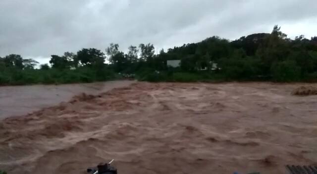 19 ઓગસ્ટે નવસારી, સુરત, ભરૂચ, ગીર-સોમનાથ, જુનાગઢ, દ્વારકા, પોરબંદર અને જામનગરમાં ભારેથી અતિભારે વરસાદ વરસી શકે છે.