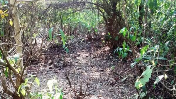 નોંધનીય છે કે, ગૌચરમાં આ યુવતી અને ત્રણ દાઢીવાળા પુરુષોને એક યુવક જોઈ જતાં તેમને પકડવા આ પુરુષો પાછળ દોડ્યા હતા, પરંતુ યુવક આ વિસ્તારનો જાણીતો હોય તે ભાગવામાં સફળ રહ્યો હતો. આ પછી તેણે ગામલોકોને વાત કરતાં કેટલાક યુવકો લાકડી સાથે ત્યાં પહોંચ્યા હતા. પરંતુ આ શખ્સો ત્યાંથી ફરાર થઈ ગાય હતા. 