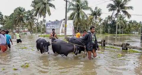 કેરળ પૂરઃ માત્ર લોકોની જ નહીં જાનવરોની પણ મદદ કરી રહ્યા છે વિરાટ-અનુષ્કા, જાણો વિગત કેરળ પૂરઃ માત્ર લોકોની જ નહીં જાનવરોની પણ મદદ કરી રહ્યા છે વિરાટ-અનુષ્કા, જાણો વિગત