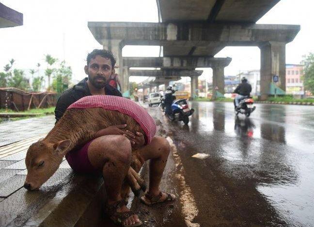 સૂત્રોના જણાવ્યા મુજબ, તેઓ પૂરમાં ફસાયેલા પ્રાણીઓની મદદ કરવા માંગે છે. જાનવરોને શક્ય તેટલી વહેલી મદદ પહોંચે તેમ તેઓ ઈચ્છે છે.