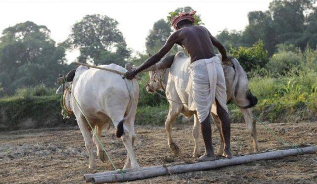  ઉપરાંત અમિતા બચ્ચને કેડૂતોની આત્મહત્યા પ્રત્યે દુઃખ વ્યક્ત કરતાં કહ્યું કે, ખેડૂતોની આત્મહત્યા હંમેશા તકલીફ આપે છે. ઘણાં વર્ષો પહેલા એક ફિલ્મના શૂટિંગ દરમિયાન મને જાણવા મળ્યું કે, જે ખેડૂતો 15-20-30 હજાર રૂપિયાની લોન લીધી હતી તેઓ તે ચૂકવી ન શકવાને કારણે પોતાનો જીવ આપી રહ્યા હતાં અને મેં તેમનું દેવું ચૂકવી દીધું. આ વખતે 200 ખેડૂત પરિવાર માટે 1.25 કરોડ રૂપિયા આપી રહ્યો છું. હું બેંકમાં ગયો હતો જ્યાંથી દેવાદાર ખેડૂોતની યાદી મેળવી ચે અને તેમનું દેવું ચૂકવી રહ્યો છું.