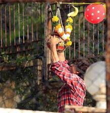 શાહરૂખે અબરામ સાથે મટકી ફોડી ઉજવી જન્માષ્ટમી, જુઓ તસવીરો