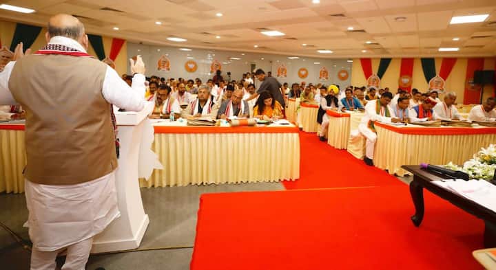 પાર્ટીમાં સંગઠનની ચૂંટણી એક વર્ષ માટે ટાળવાનો નિર્ણય લેવમાં આવ્યો છે. ઉપરાંત 2019 લોકસભા ચૂંટણી અમિત શાહના નેતૃત્વમાં લડવાનો ફેંસલો પણ લેવામાં આવ્યો. એટલે કે અમિત શાહ જાન્યુઆરી 2019 બાદ પણ અધ્યક્ષ બની રહેશે. શાહનો અધ્યક્ષ તરીકેનો ત્રણ વર્ષનો કાર્યકાળ જાન્યુઆરીમાં સમાપ્ત થાય છે.