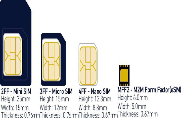આ એક ઇન્ટિગ્રેટેડ ઇસિમ છે અને આને ઔપચારિક રીતે એમ્બેડિડ યૂનિવર્સલ ઇન્ટિગ્રેટેડ સર્કિટ કાર્ડ (eUICC) તરીકે ઓળખવામાં આવે છે. આની લંબાઇ માત્ર 6 મિલીમીટર અને પહોંળાઇ 5 મિલીમીટર છે, આને મેન્યૂફેક્ચરિંગના સમયે જ મધરબોર્ડમાં લગાવવામાં આવે છે. આ સામાન્યા રિમૂવેબલ સિમ વાળા બધા જ કામો કરી શકે છે. આમાં એમ2એમ (મશીન ટૂ મશીન) અને રિમૉટ પ્રૉવિઝનિંગ ક્ષમતાઓ છે.