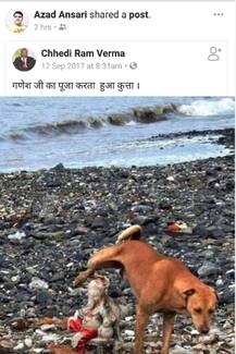 વલસાડઃ ગણેશજીની મૂર્તિની વાંધાજનક પોસ્ટ વાયરલ કરનાર વેપારીની ધોલાઇ