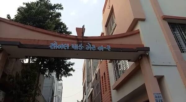 શિલ્પા પાનસુરિયા ઘરે સાડીમાં સ્ટોન લગાવી થોડી કમાણી કરતી હતી. અશોક કાંઇ કામ ધંધો કરતો ન હતો અને પત્નીની કમાણીનાં નાણાં વેડફી નાખતો હતો. જેને કારણે બન્ને વચ્ચે વારંવાર ઝઘડા થતા હતા. મંગળવારે બન્ને વચ્ચે છુટા હાથની મારામારી થઈ હતી. શિલ્પાએ અશોકનું ગળું દબાવી દીધું અને ધક્કો મારી દેતાં અશોકનું માથું ભીંતમાં અફડાયું હતું. જોકે, તેને ખબર ન હતી કે તેનાથી હત્યા થઇ છે.