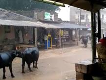 ગુજરાતના ક્યા વિસ્તારમાં ગાજવીજ સાથે ધોધમાર વરસાદ પડ્યો, જાણો વિગત