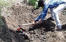 અમરેલીઃ પત્નીને પતિના મિત્ર સાથે બંધાયા સંબંધ, પછી શું થયું?