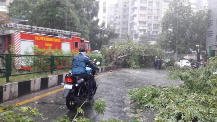 સુરતમાં બપોરથી વરસાદી માહોલ જોવા મળ્યો હતો. અનેક જગ્યાએ ધોધમાર વરસાદથી વૃક્ષો થયા ધરાશાયી, આગામી ત્રણ દિવસ ગુજરાતમાં સામાન્ય વરસાદ રહે તેવી આગાહી કરવામાં આવી છે.
