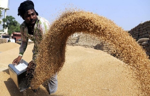 Cabinet decides MSP for Rabi crops, approves increase of Rs 110 in wheat MSP MSP Increase: દિવાળી પર ખેડૂતોને કેન્દ્ર સરકારની મોટી ભેટ! સરકારે આ 6 પાકની MSPમાં કર્યો વધારો