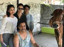 આ એક્ટરને બર્થ-ડે પર ગિફ્ટમાં મળી ગુજરાતી ગીર ગાય