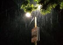 અમરેલીમાં ભારે પવન સાથે વરસાદ, વૃક્ષો ધરાશાયી થતા રાજકોટ સ્ટેટ હાઈવે બંધ