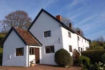 કાર્તિ ચિદમ્બરમને EDએ આપ્યો ઝટકો, ભારત સહિત 3 દેશમાં 54 કરોડની પ્રોપર્ટી કરી જપ્ત