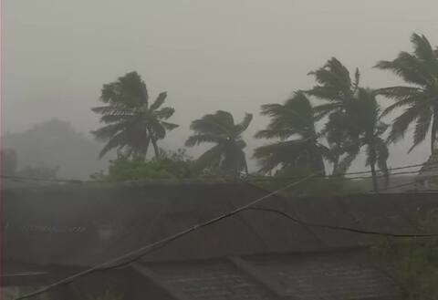 તિતલી વાવાઝોડું: આંધ્ર પ્રદેશમાં 8ના મોત, ઓડિશામાં વાવાઝોડાનો કહેર તિતલી વાવાઝોડું: આંધ્ર પ્રદેશમાં 8ના મોત, ઓડિશામાં વાવાઝોડાનો કહેર