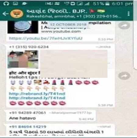આ આણંદ જીલ્લો બીજેપી વોટ્સઅપ ગ્રુપનો ગ્રુપ એડમીન ભારતીય જનતા પાર્ટી યુવા મોરચા સોજીત્રાનો આઈટીસેલ અને સોશિયલ મીડિયાનો કન્વીનર સોહન પટેલ (સોહુ) હોવાનું પણ ગ્રુપના સ્ક્રીન શોર્ટ્સમાં નિહાળી શકાય છે. પોર્ન ફિલ્મની ક્લીપો ભાજપના સોશિયલ મીડિયા ગ્રુપમાં મુકવામાં આવતાં અને કેટલાંક સભ્યોએ આ લીંક ખોલી પોર્ન ફિલ્મ નિહાળતાં ચકચાર મચી ગઈ હતી.