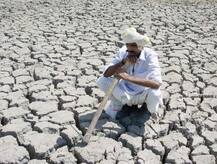 રાજ્ય સરકારનો મહત્વનો નિર્ણય, 51 તાલુકાને અછતગ્રસ્ત જાહેર કર્યા